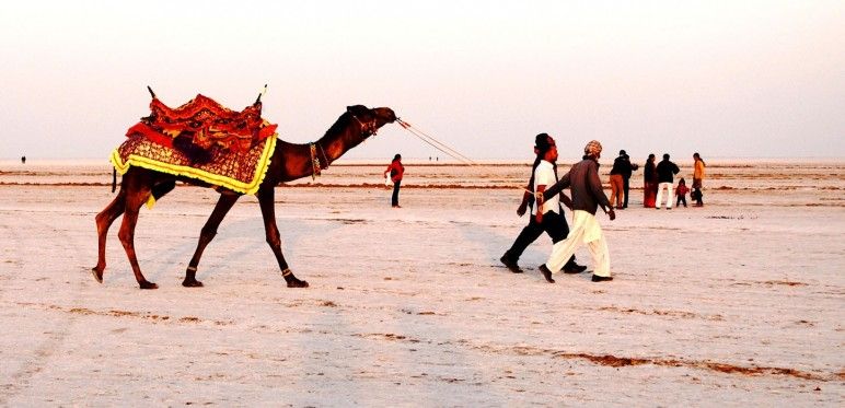 Kutch Rann Utsav