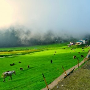 Romantic Hills of Himachal Pradesh Tour